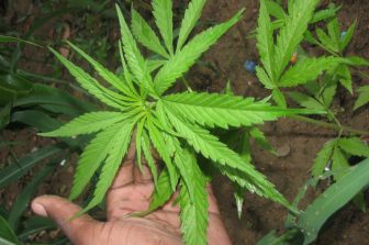 The CBSA reminds private boaters of reporting requirements