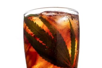 Upstate Elevator Launches Ruby Red Ranch Water: A Vibrant New THC Spritz Powered by Adaptogenic Mushrooms