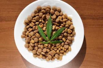 Trulieve Partners with Redemption Cannabis to Launch Purpose Led Products in West Virginia