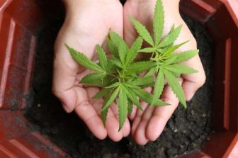 Leafwell Launches First-of-its-Kind Cannabis Care Program, Offering Members Clinical Support and Exclusive Discounts at Dispensaries Nationwide