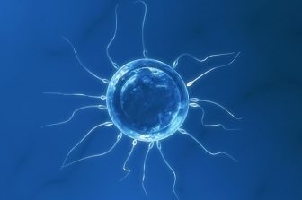 Inhibrx Reports Second Quarter 2025 Financial Results