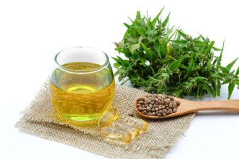 Leading Global Cannabis Genetics Company Barneys Farm Cancels Proposed Merger with PowerPlant, Inc.