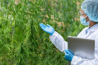 Curaleaf and The Baldwin Fund Partner to Raise Funds for Breast Cancer Research This October