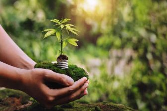 Auxly to Report Third Quarter 2025 Results on November 13, 2025