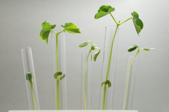 New Data Presented at the Clinical Trials on Alzheimer’s Disease (CTAD) Conference 2025 Confirms Pharmacological Effect of LEQEMBI® (lecanemab-irmb) on Neurotoxic Aβ Protofibrils in CSF