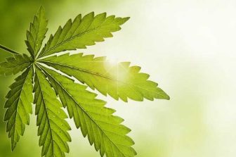 Curaleaf Opens Second Erie Dispensary in Millcreek, Pennsylvania