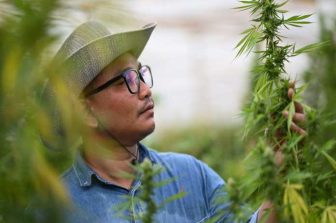 Gotham Launches Accelerator Program, Inaugural Cohort to Support Black-Owned Cannabis Brands