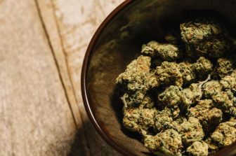 PLEOPHARMA, INC. to Present at the Centri Capital Conference in New York