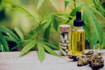 High Tide Announces Purchases of Shares by Insiders