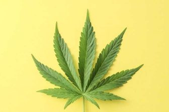Auxly Reports First Quarter 2026 Results