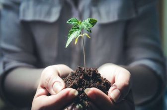 Aprio Acquires Phoenix-Based Price Kong, Adding Cannabis Experience and Expanding Arizona Footprint