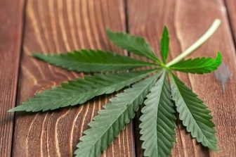 Speakeasy Dispensary to Open Eastern Kentucky’s First Medical Cannabis Dispensary in Ashland