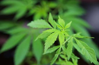 Klutch Cannabis Announces Acquisition and Grand Opening of Columbus Recreational Marijuana Dispensary; Sale of Loudonville Dispensary