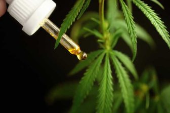 Seed Junky Genetics Announces Exclusive Illinois Licensing Agreement with Echelon Grow