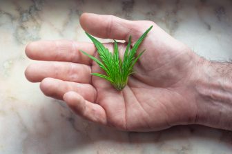 CBD Kratom Responds to Philadelphia City Council Vote on Kratom and Hemp Bill