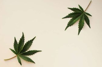 In HelloNation, Cannabis Expert Tanavung Tim Compares Flower, Vapes, Edibles, Drinks, & Tinctures